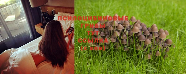МДПВ Абдулино