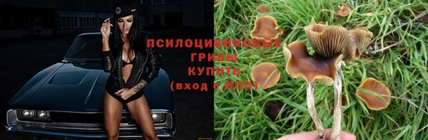 МДПВ Абдулино