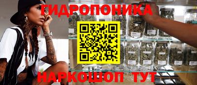 стаф Заволжье