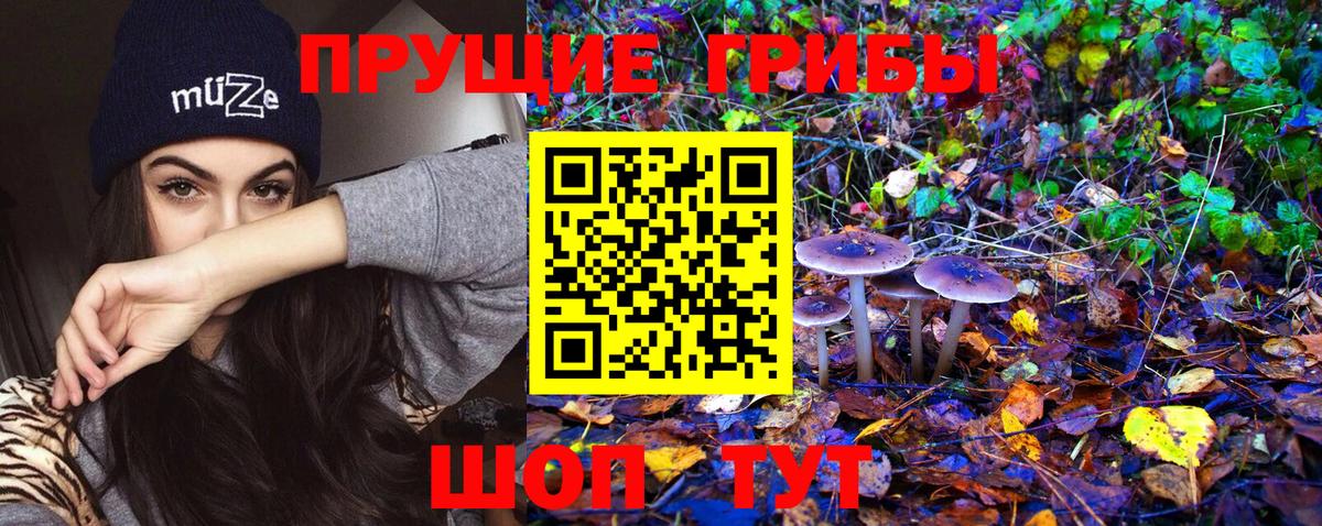 как найти   Галлюциногенные грибы Psilocybe  Вход с VPN  Миллерово 