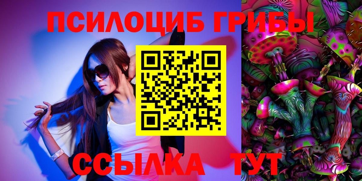 Галлюциногенные грибы Psilocybe Миллерово